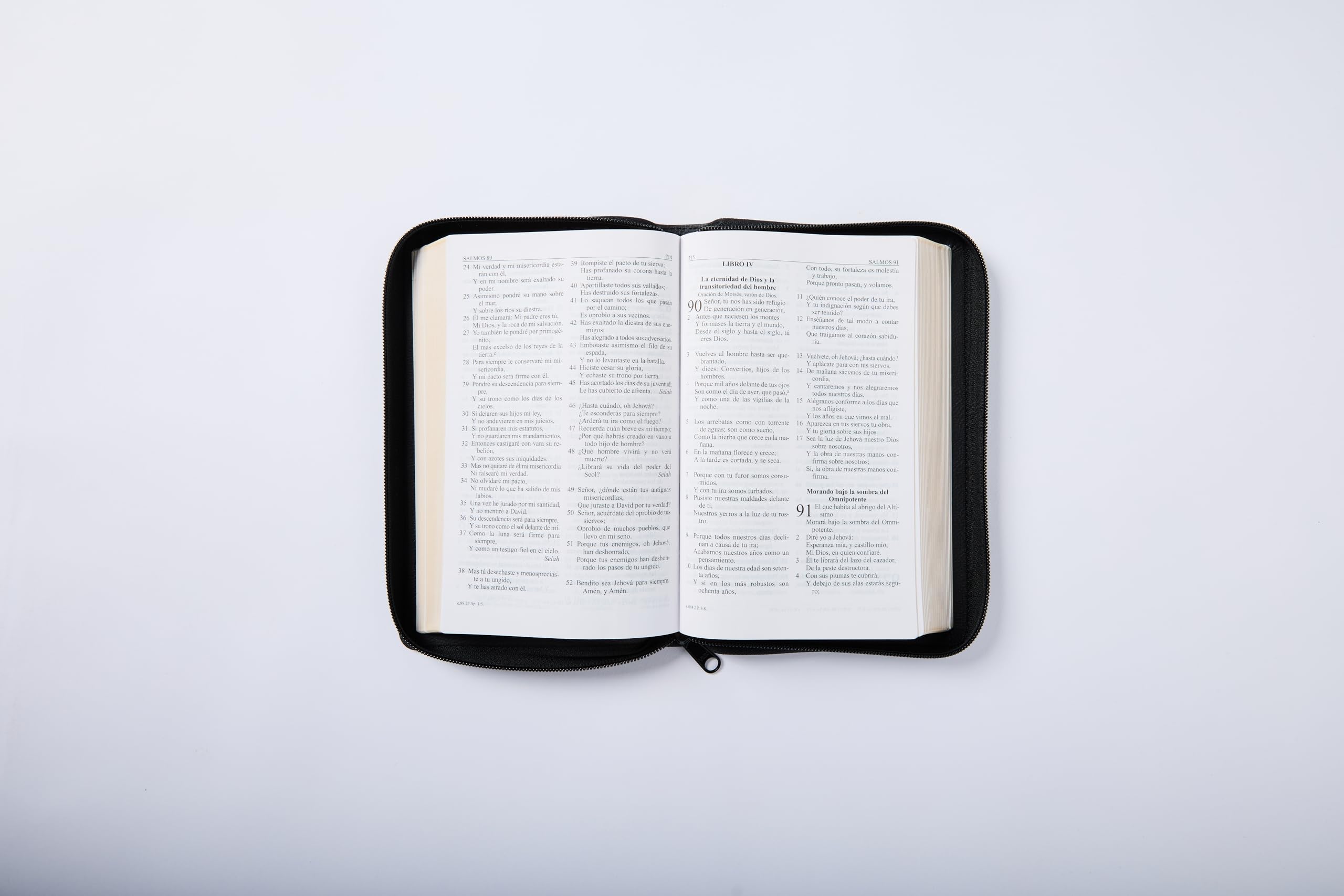 RVR60, Santa Biblia, Letra grande, Edicin porttil, Leathersoft, Negro, Palabras de Jess en Rojo, con cierre (Spanish Edition),Used