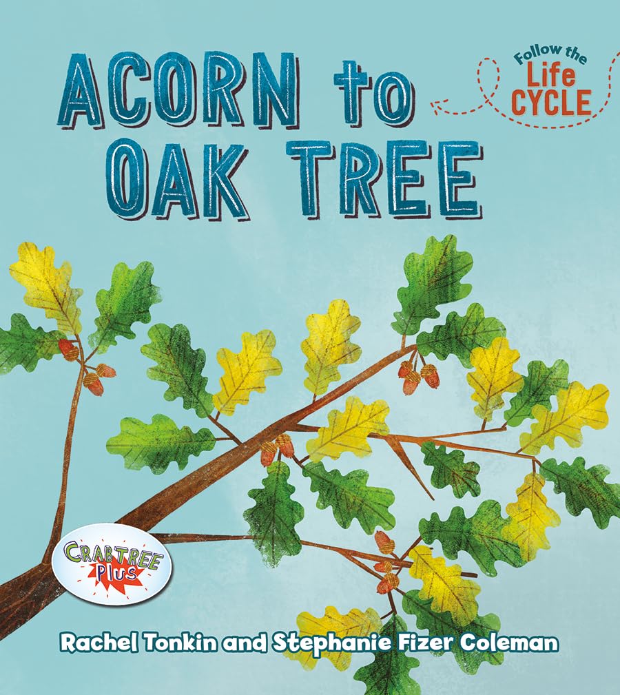 Acorn to Oak Tree (Follow the Life Cycle),Used
