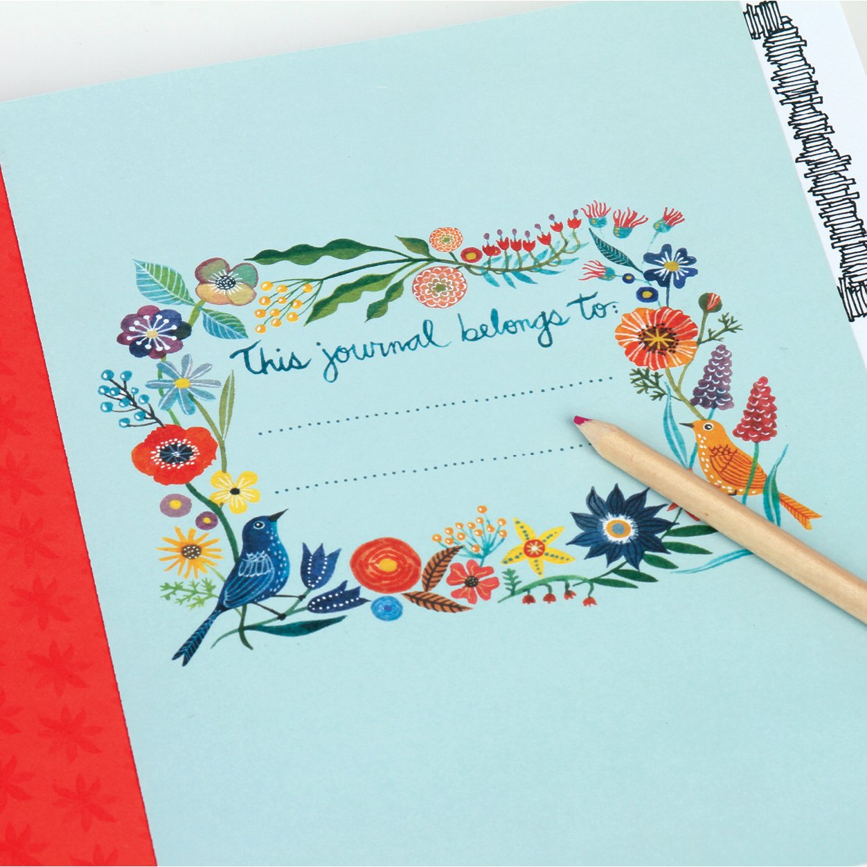 Avian Friends Guided Activity Journal