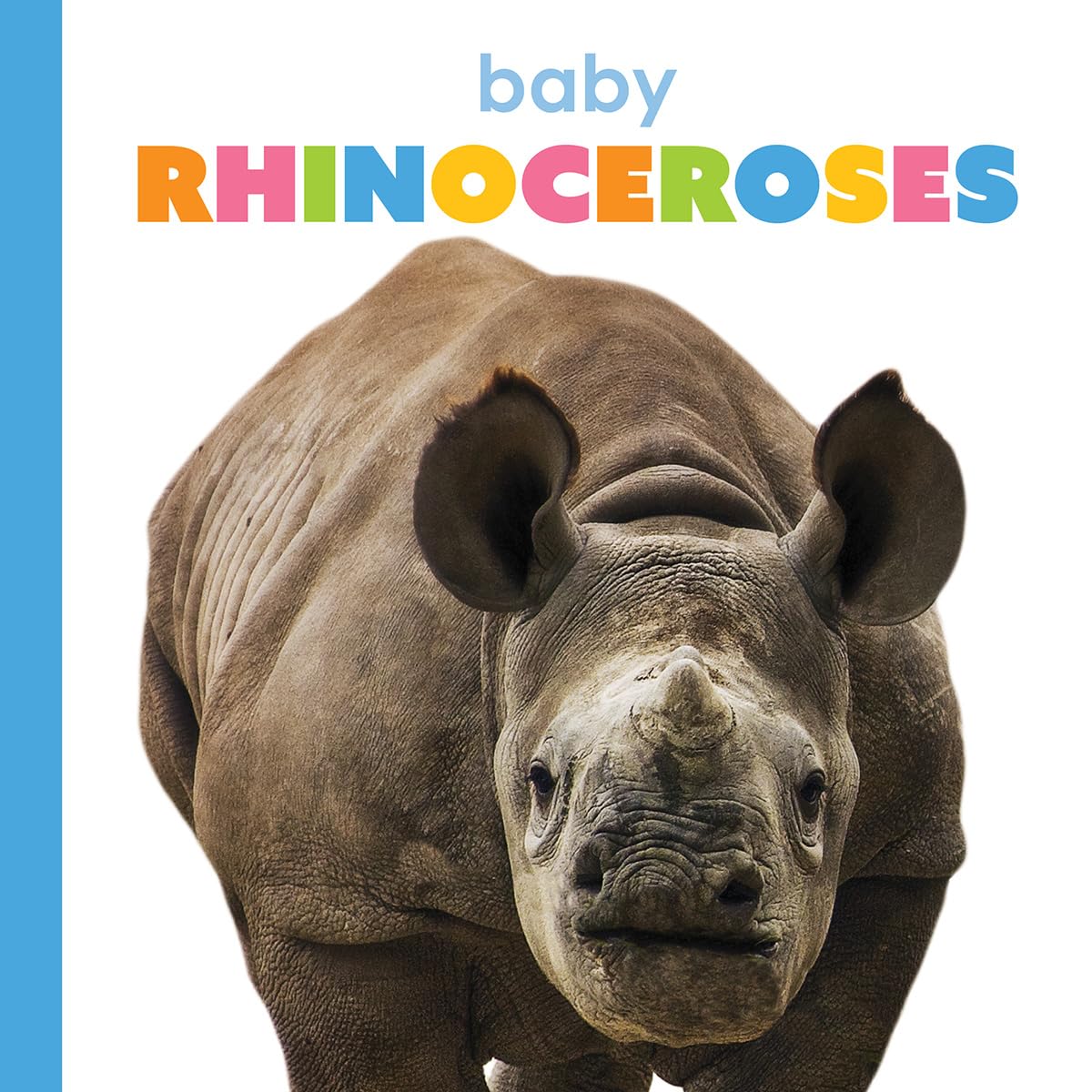 BABY RHINOCEROSES