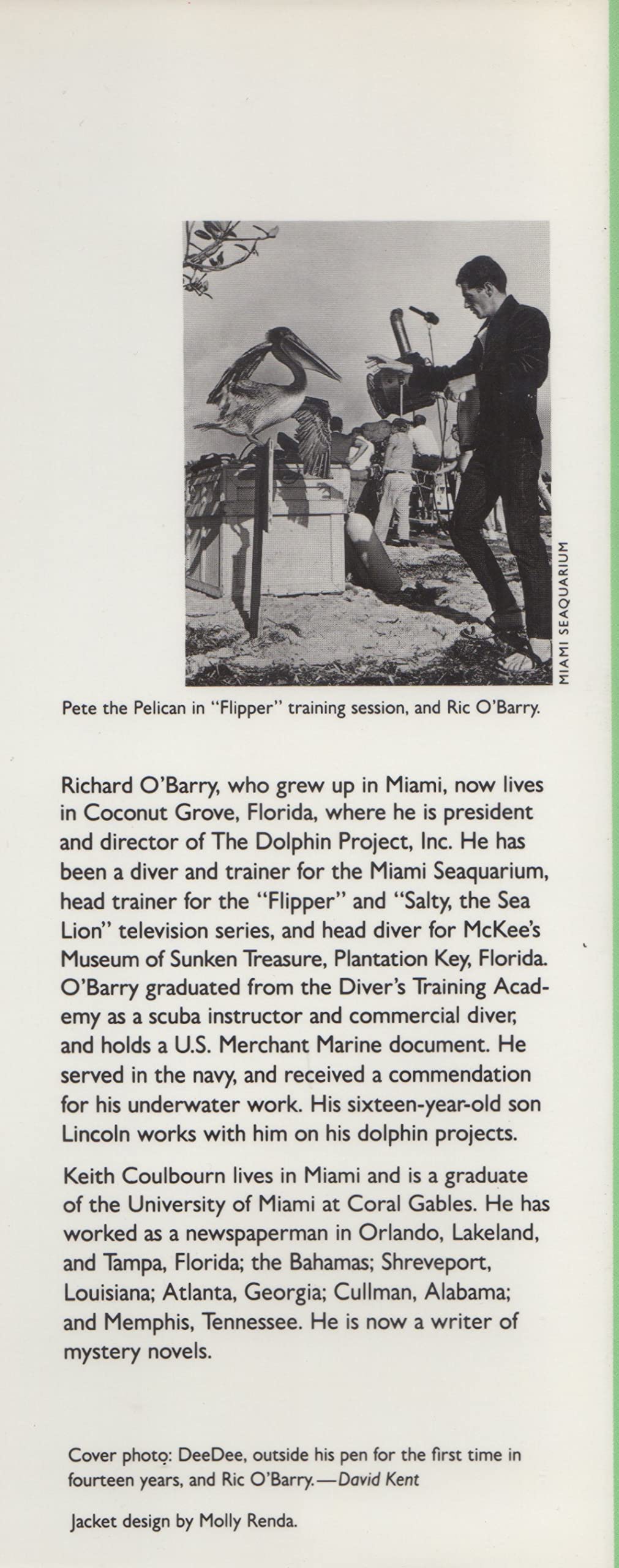 Behind the Dolphin Smile,Used