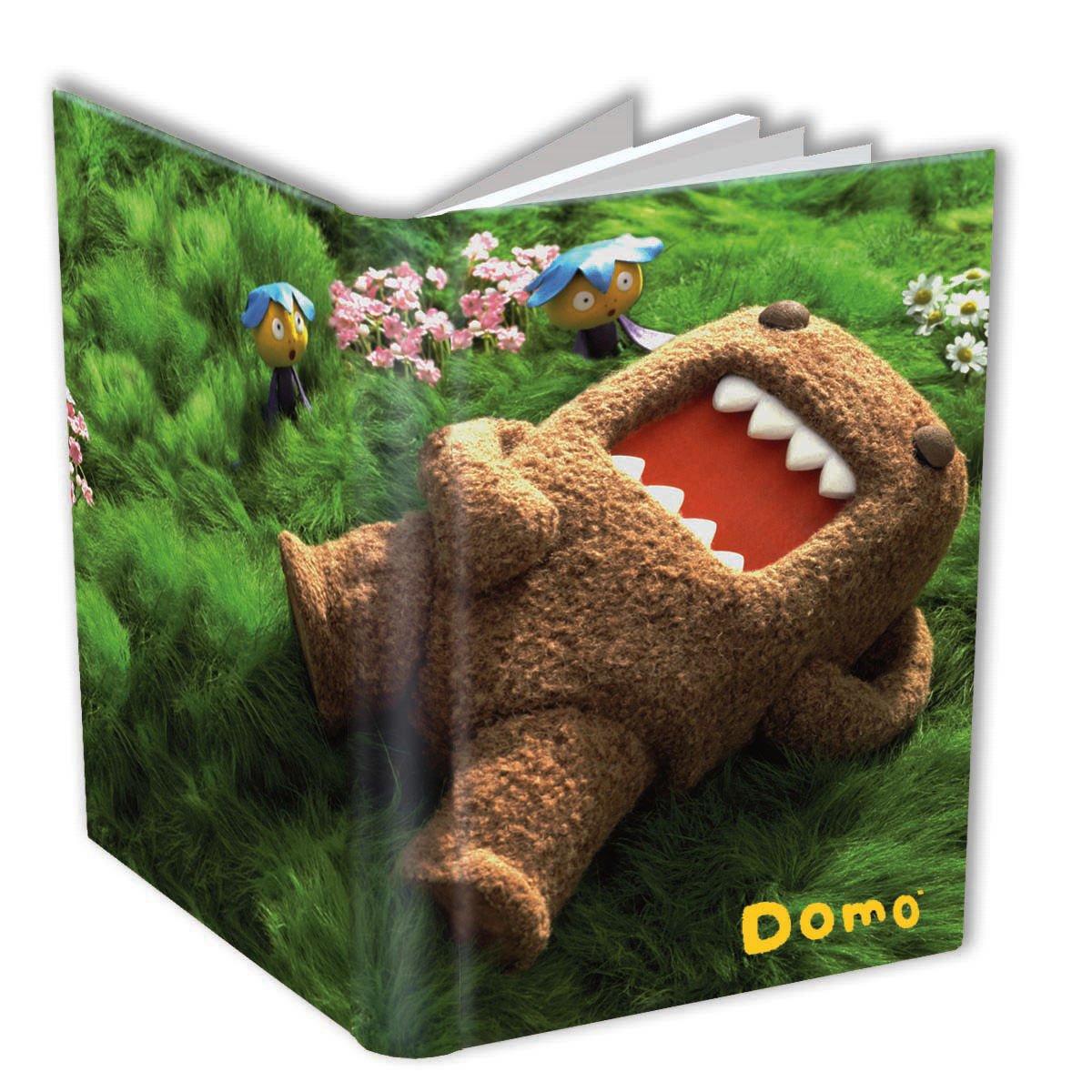 Journal:Domo,Used