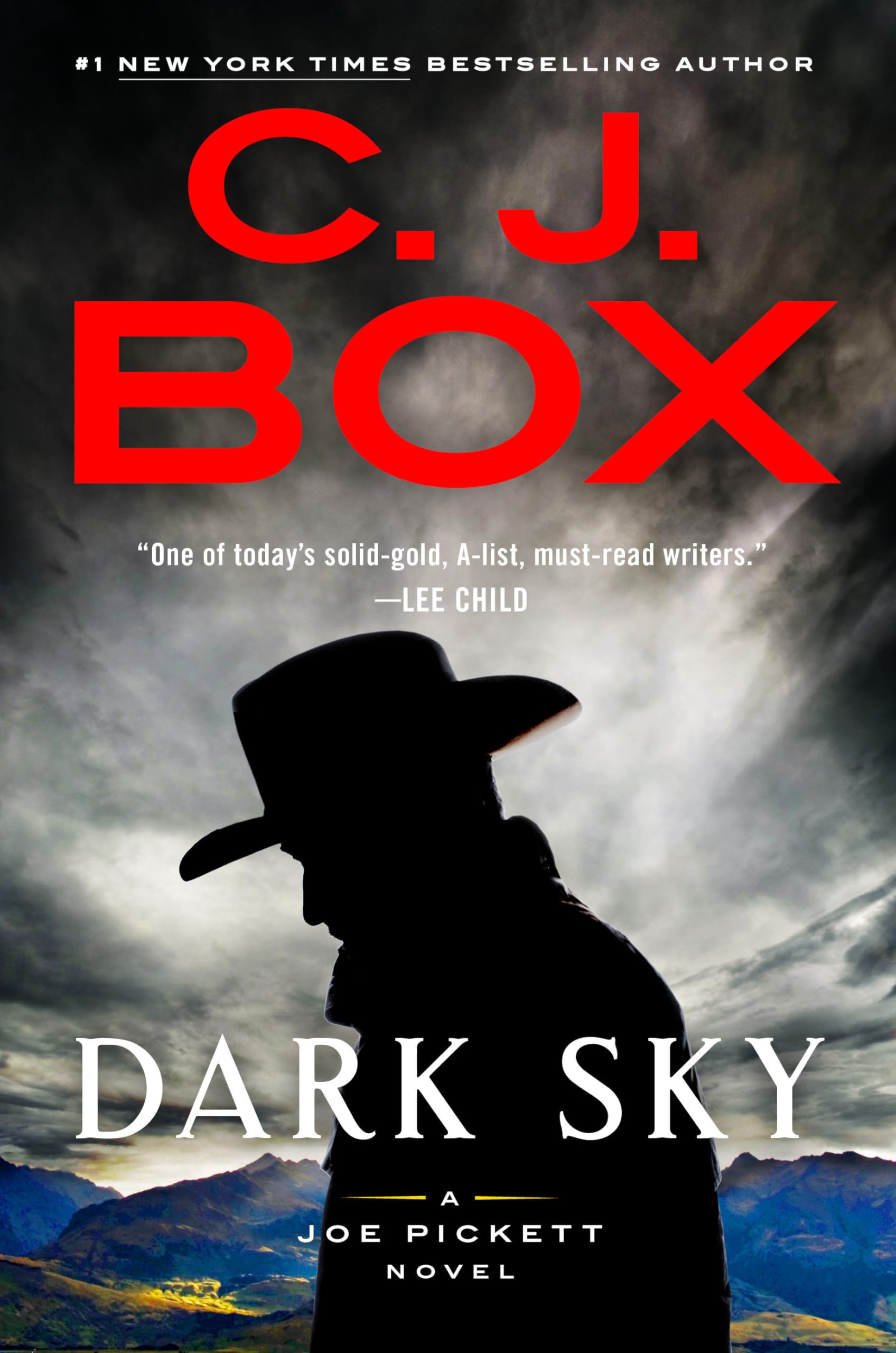 Dark Sky (A Joe Pickett Novel),Used