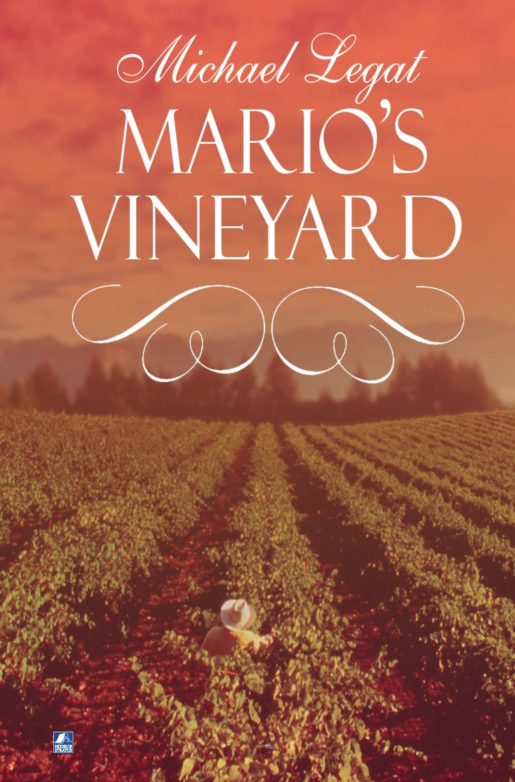 Mario's Vineyard,Used