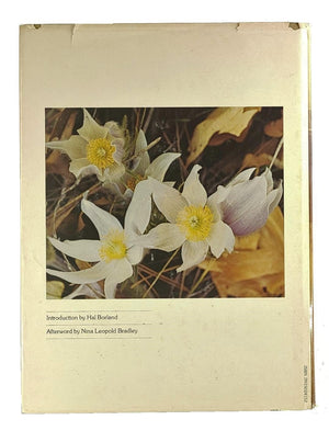 A Sand County Almanac Illustrated,Used