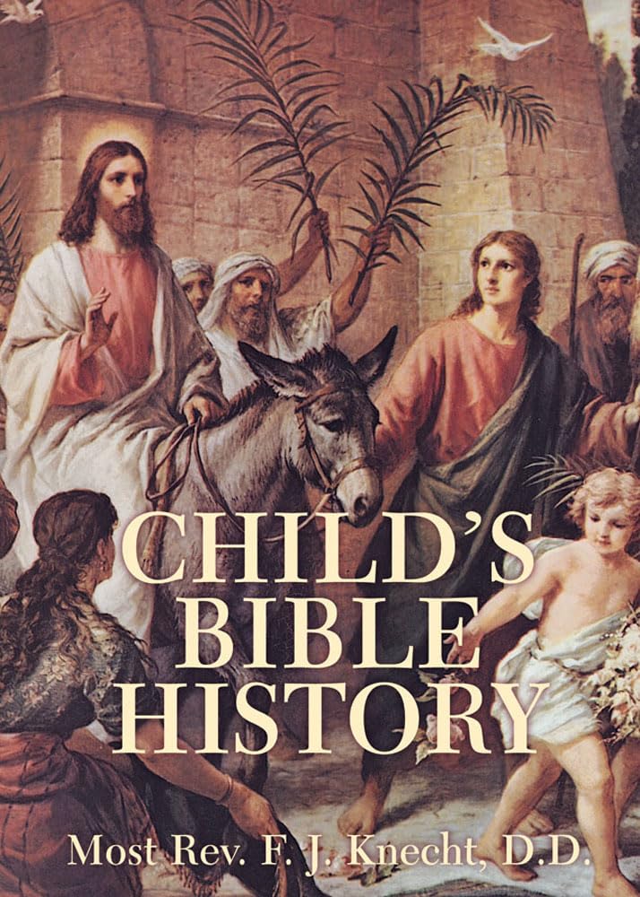 Child's Bible History,New