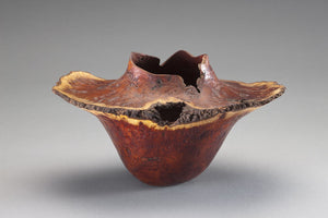 The Cutting Edge: The Lipton Collection and Contemporary Wood Art,Used