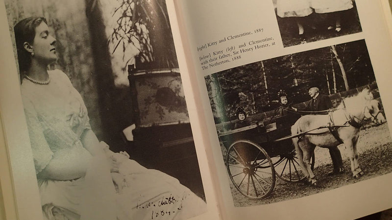 Clementine Churchill: The Biography of a Marriage,Used