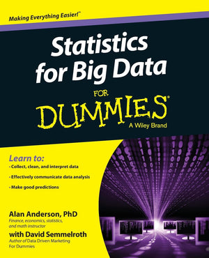 Statistics for Big Data for Dummies,Used