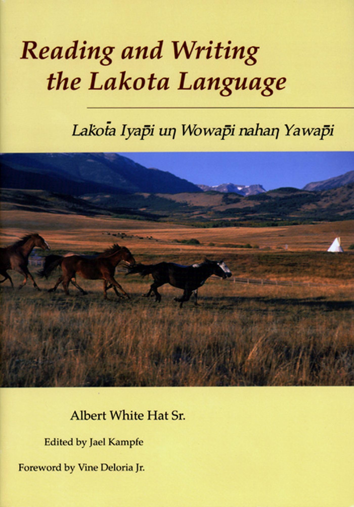 Reading and Writing the Lakota Language,Used