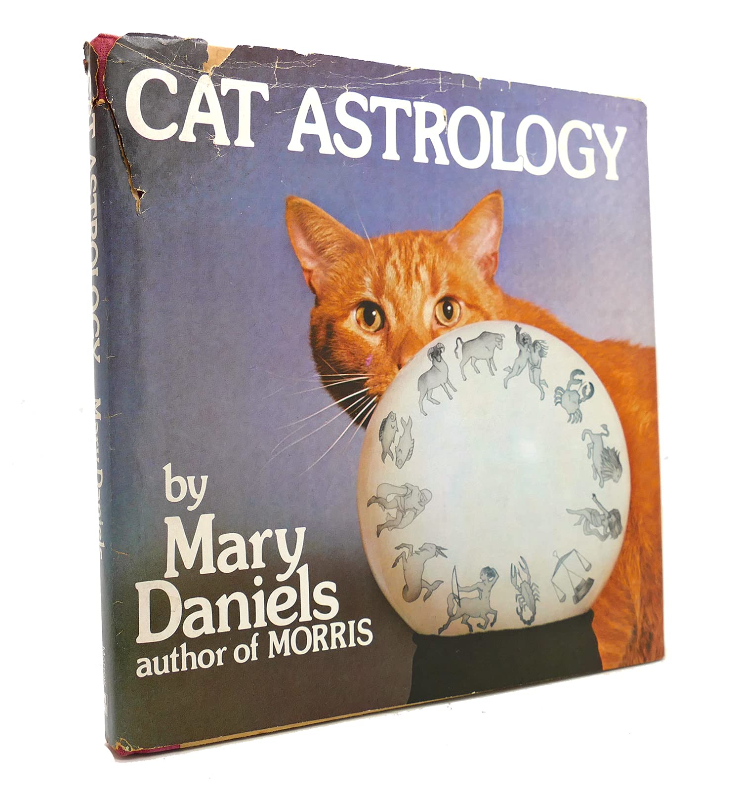 Cat Astrology,Used