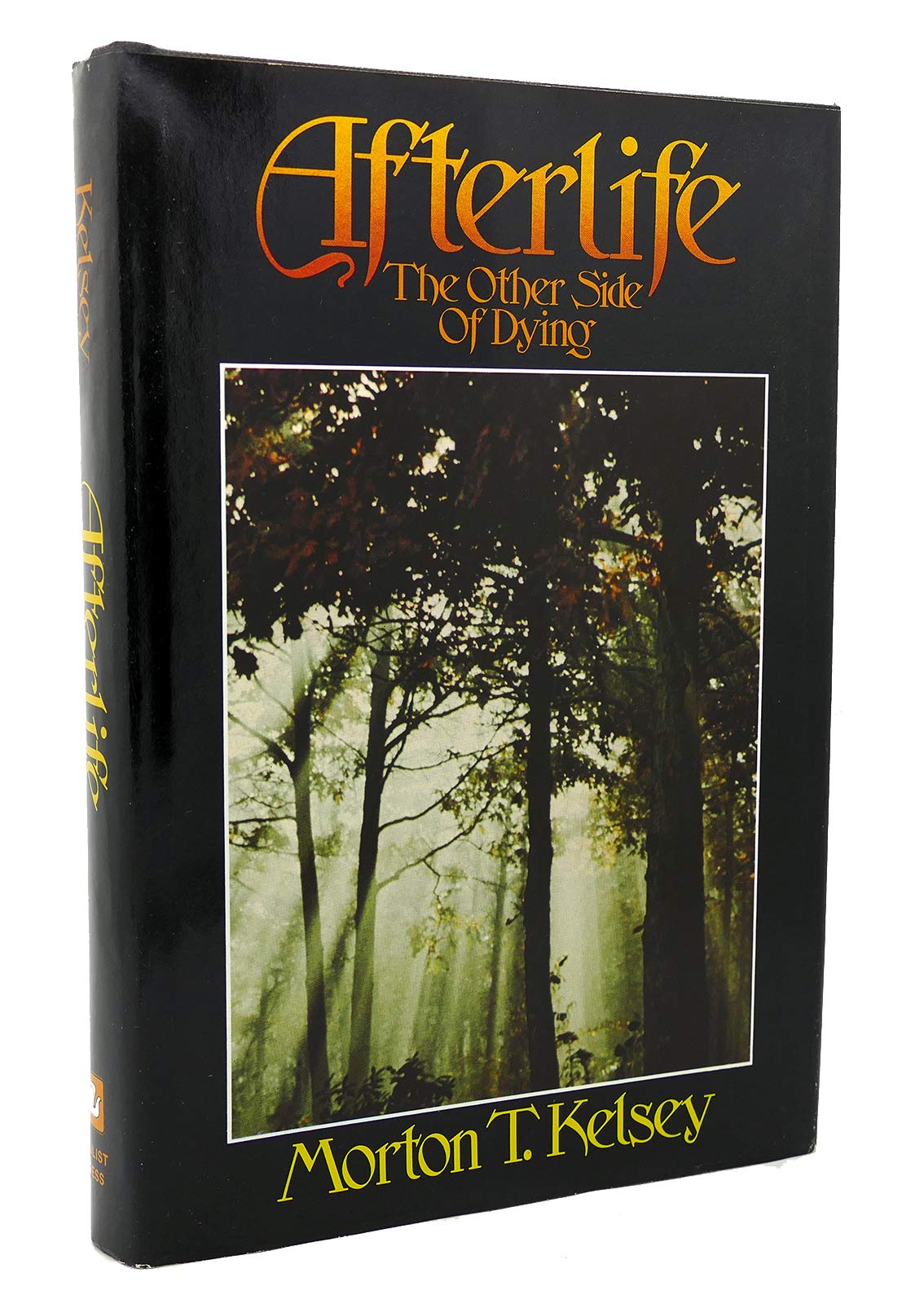 Afterlife: The Other Side of Dying,Used