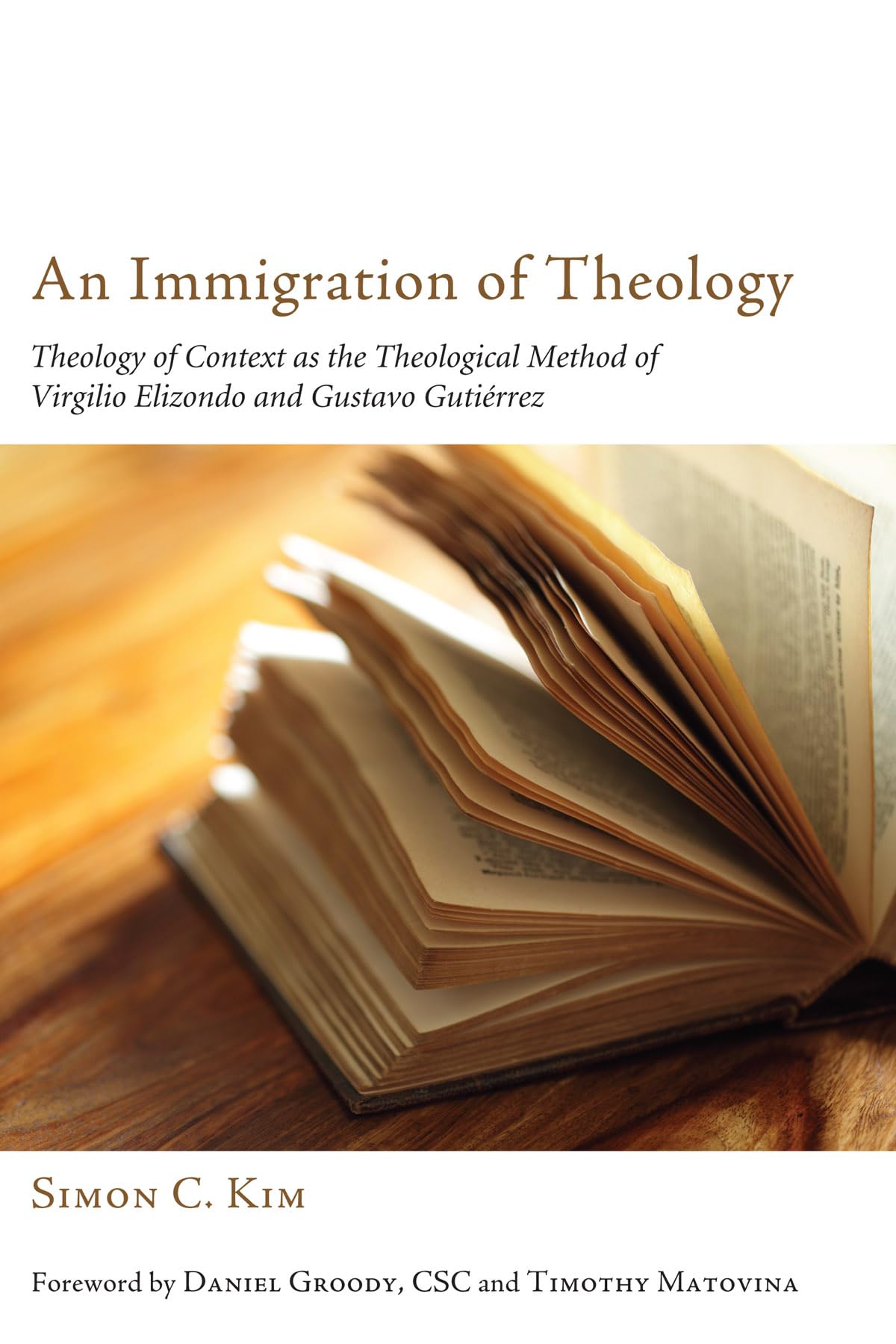 An Immigration of Theology,Used