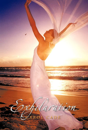 Exhilaration,Used