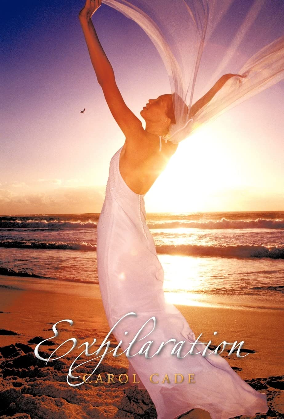 Exhilaration,Used