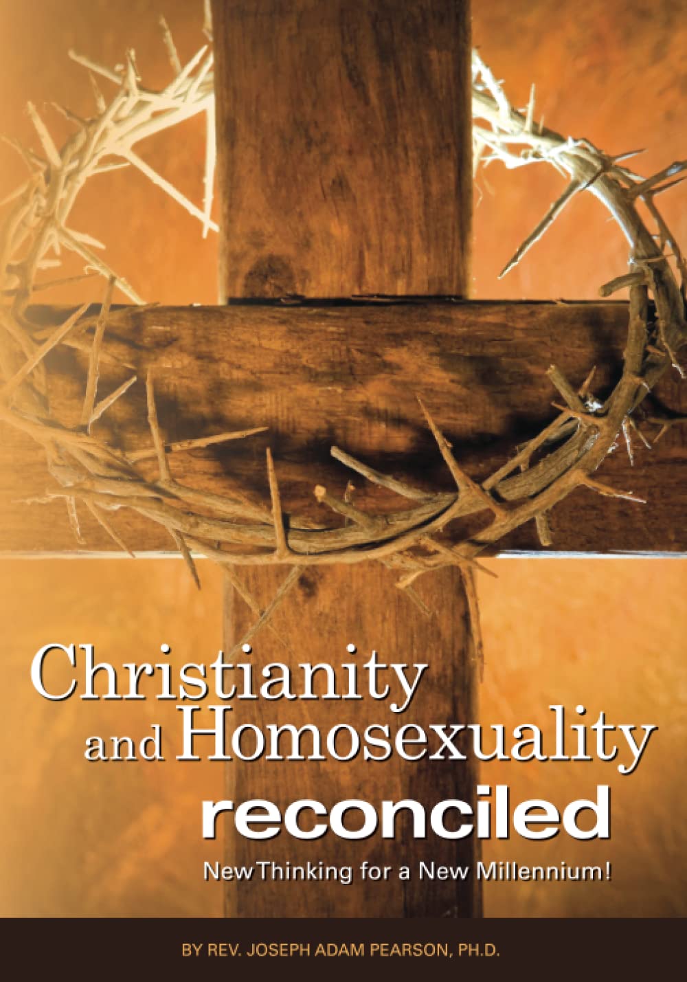 Christianity and Homosexuality Reconciled: New Thinking for a New Millennium!,Used