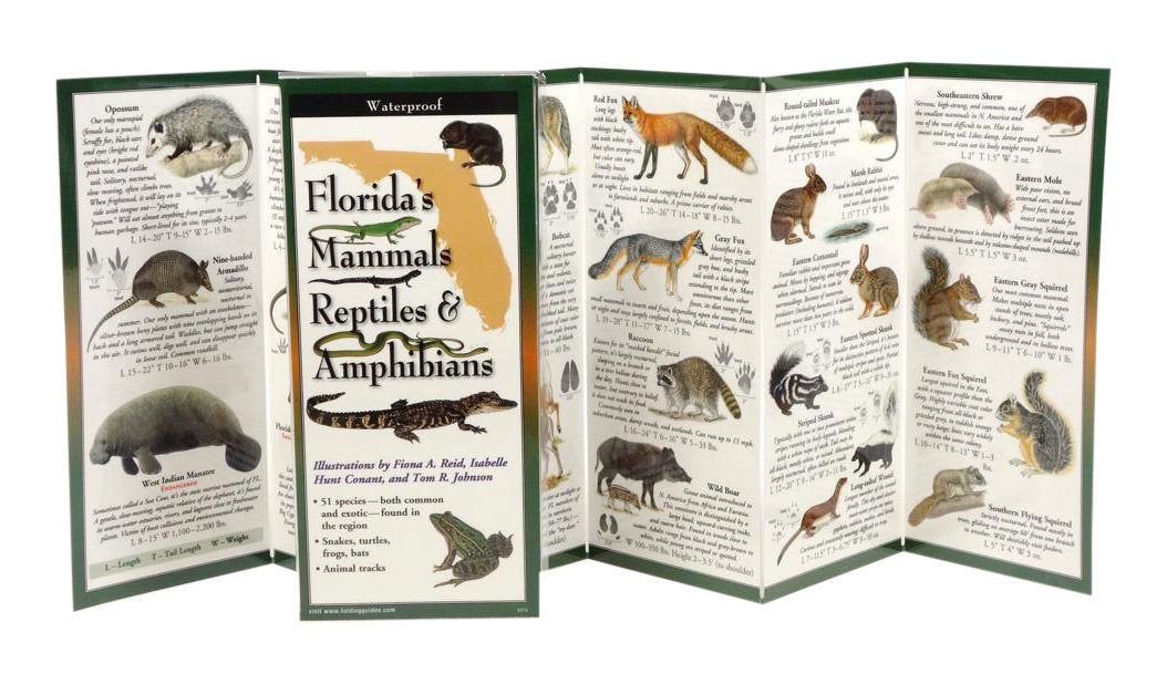 Florida'S Mammals, Reptiles, And Amphibians: Folding Guide (Foldingguides),Used
