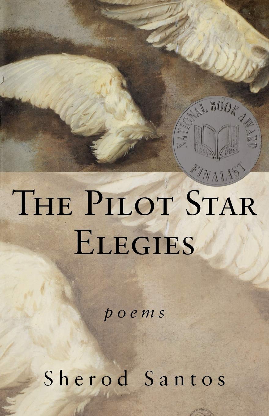 The Pilot Star Elegies: Poems,Used