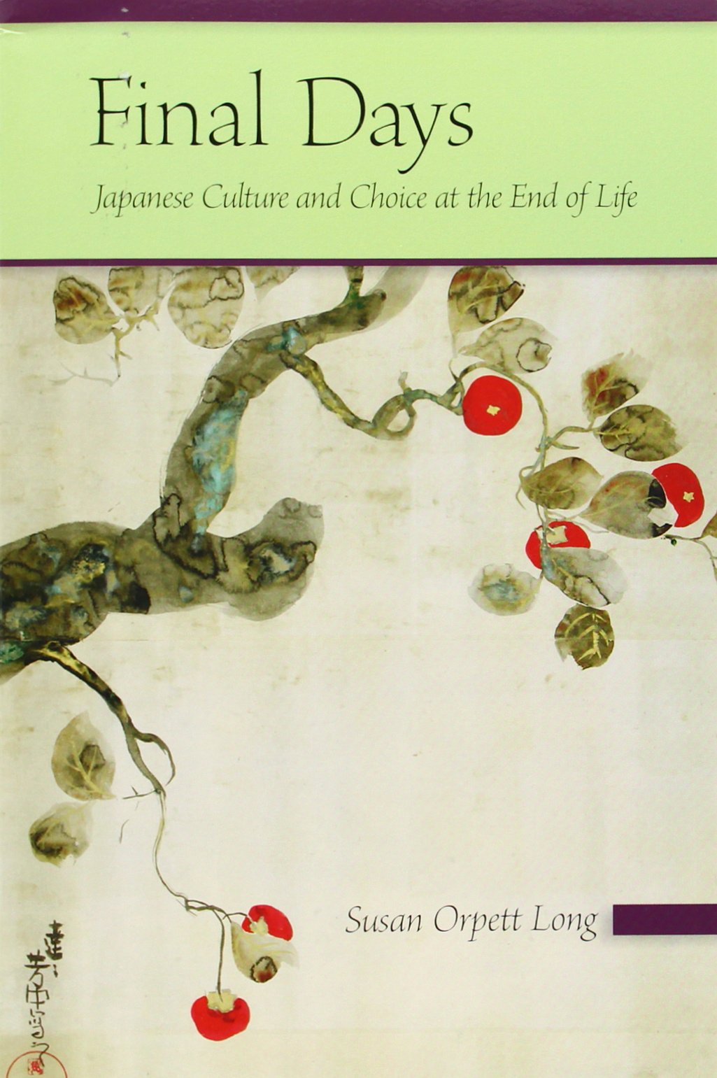 Final Days: Japanese Culture And Choice At The End Of Life,Used