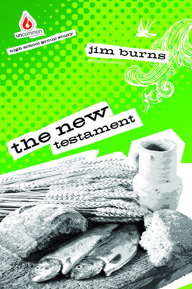 The New Testament (High School Group Study),Used