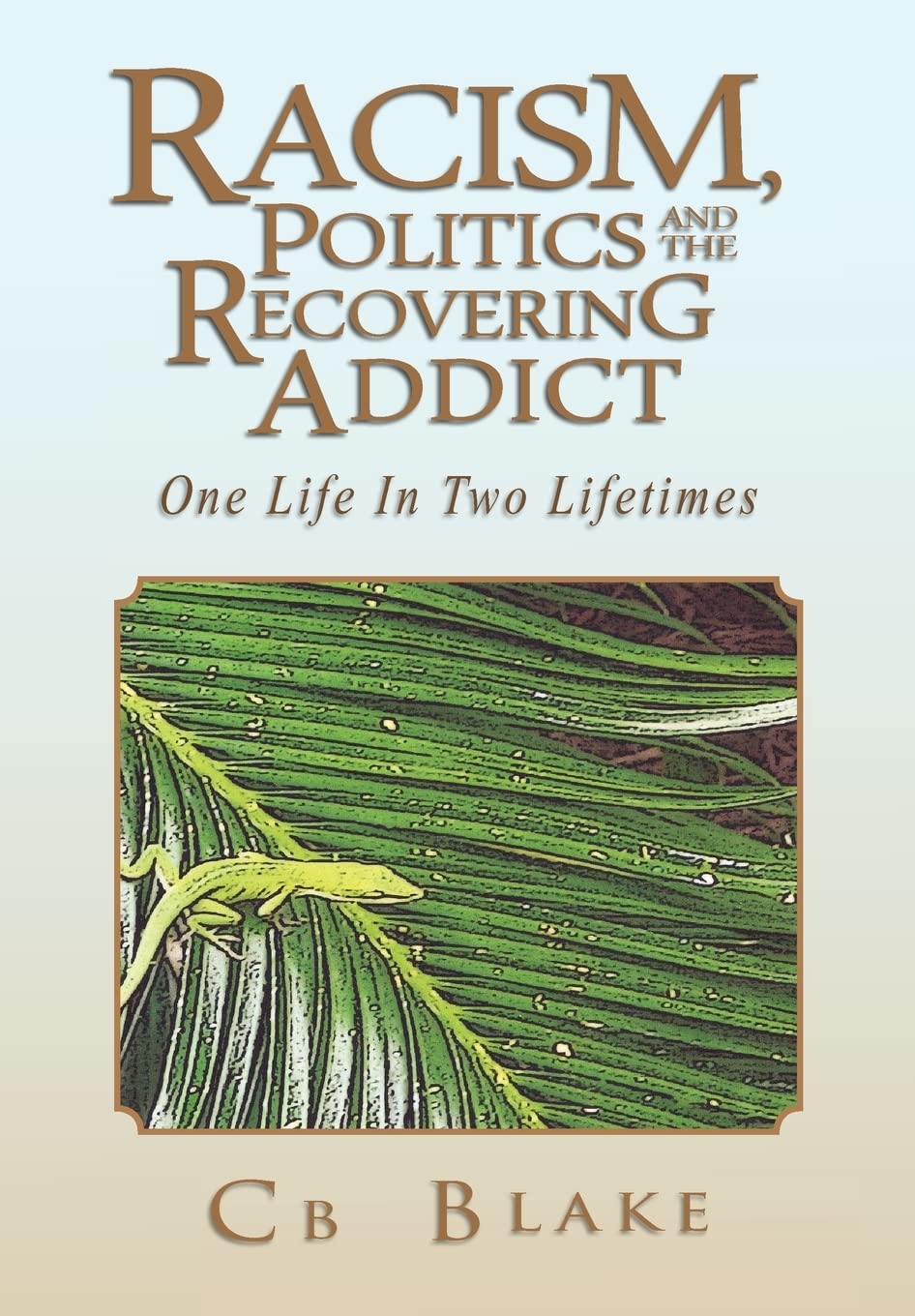 Racism, Politics And The Recovering Addict: One Life In Two Lifetimes,Used