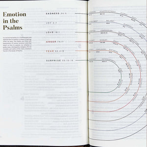 CSB He Reads Truth Bible, Charcoal Cloth Over Board, Black Letter, Wide Margins, Journaling Space, Illustrations, Reading Plans,,Used
