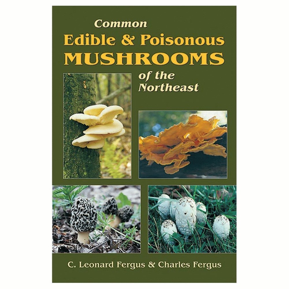 Basic Illustrated Edible and Medicinal Mushrooms (Basic Illustrated Series),Used