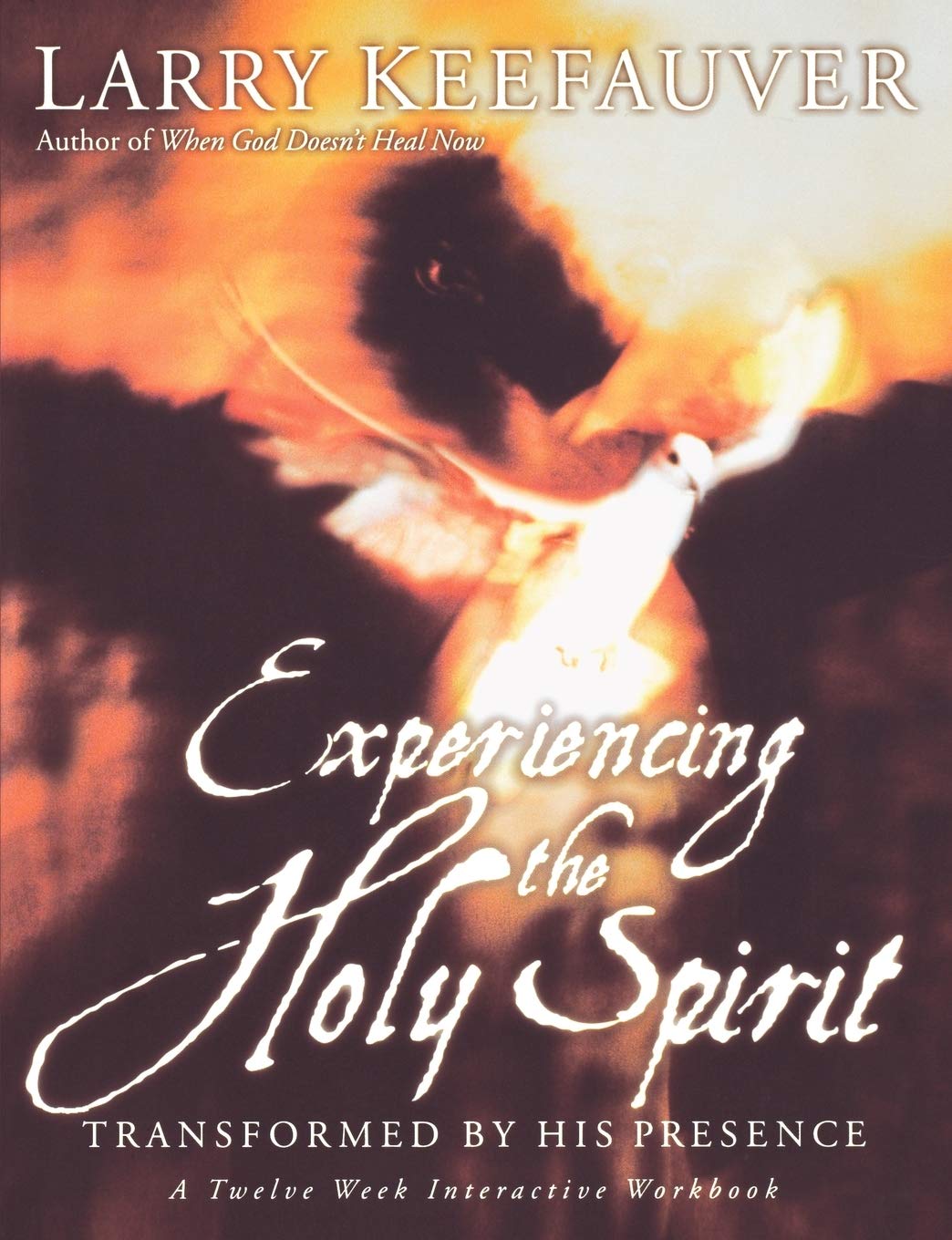 Experiencing The Holy Spirit: Transformed by His Presence  A TwelveWeek Interactive Workbook,New