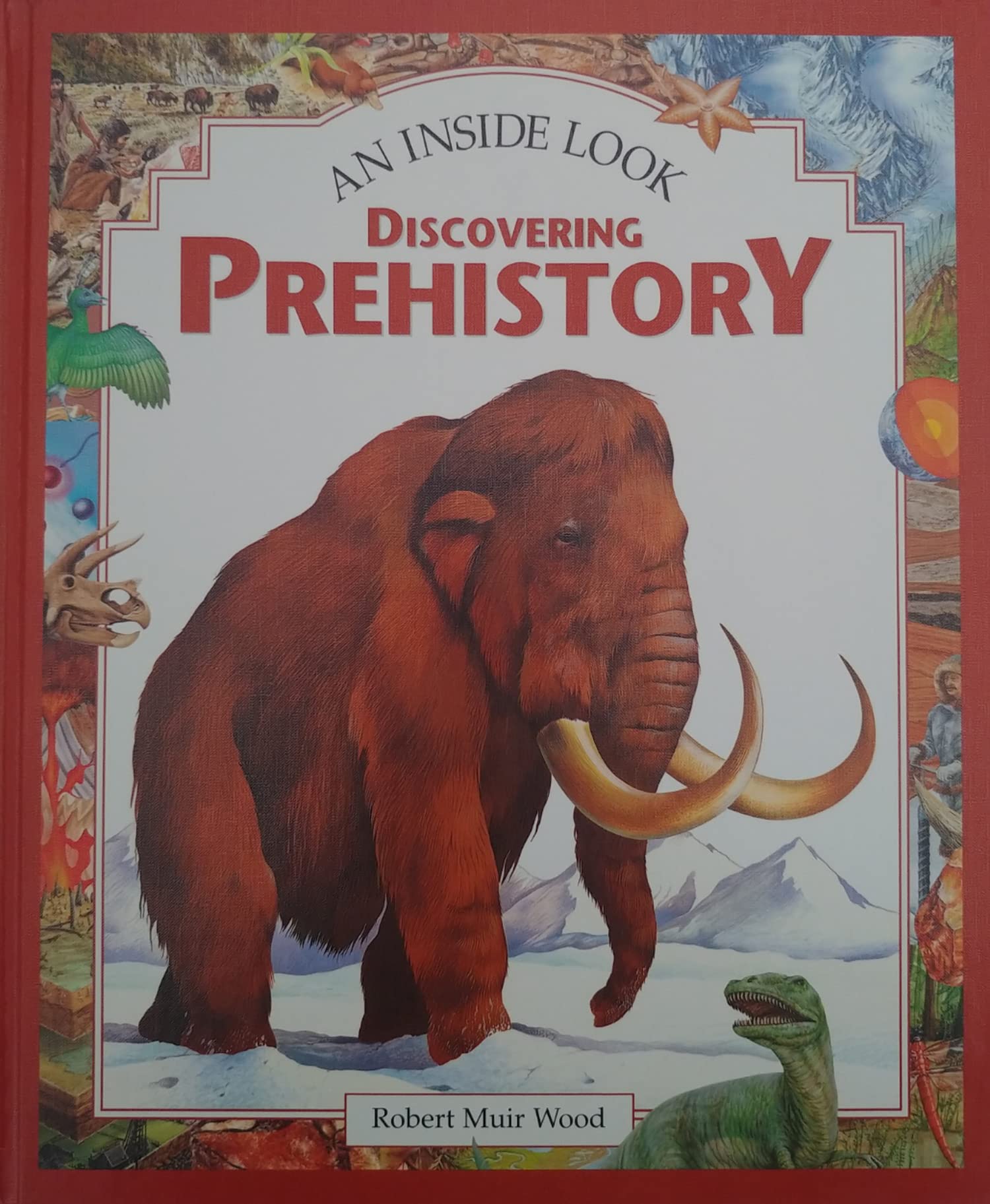 Discovering Prehistory (Inside Look),Used