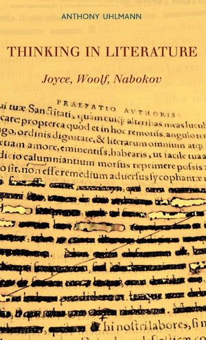 Thinking in Literature: Joyce, Woolf, Nabokov,Used