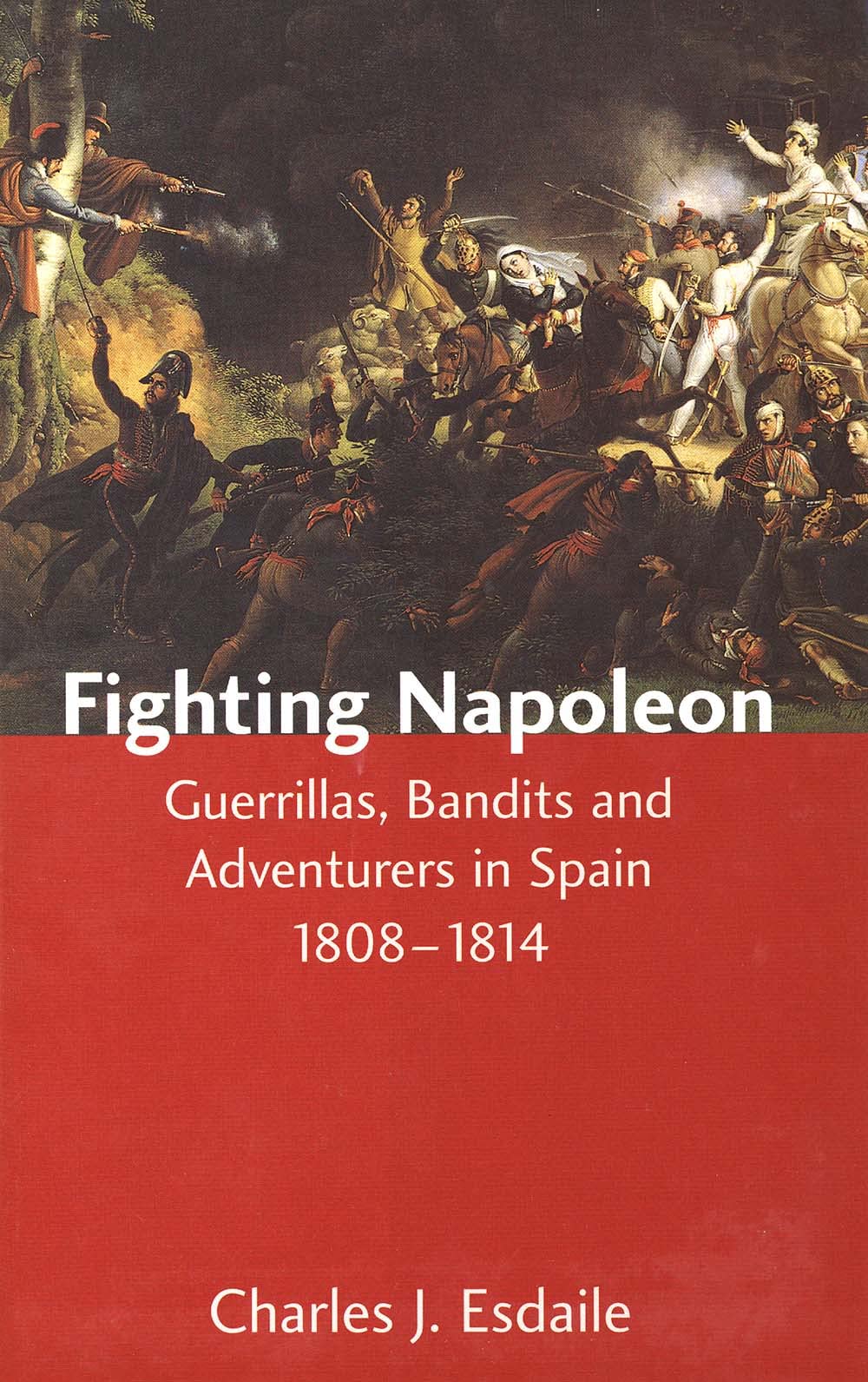 Fighting Napoleon,New