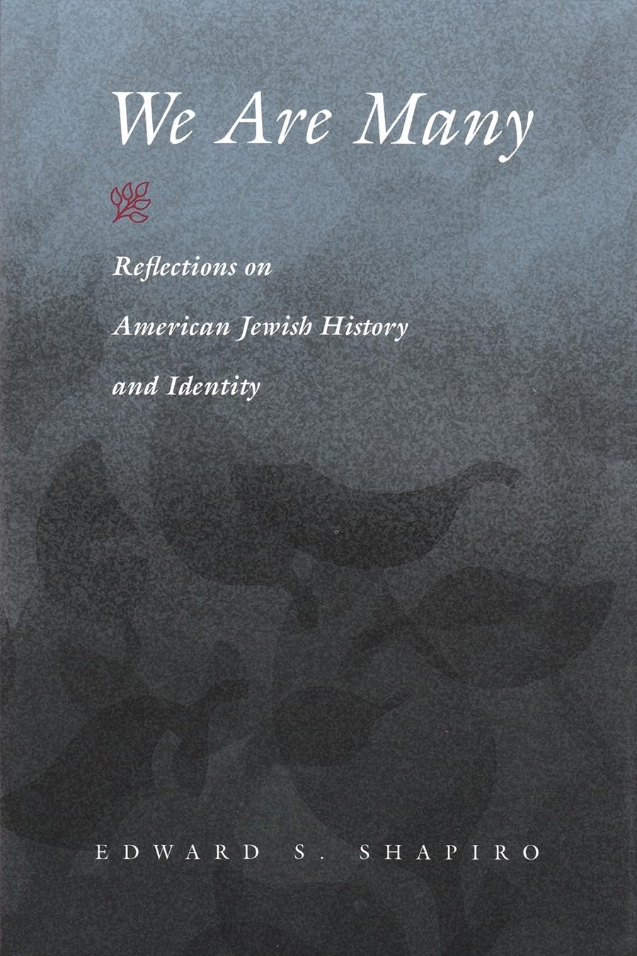 We Are Many: Reflections on American Jewish History and Identity (Modern Jewish History),Used