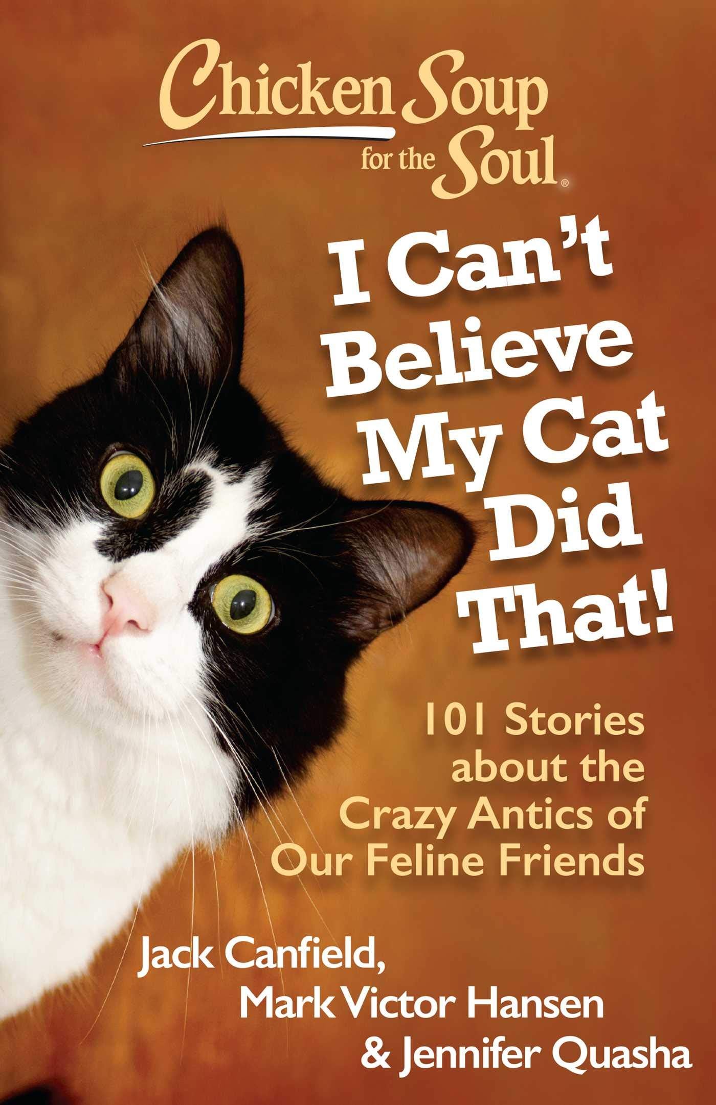 Chicken Soup for the Soul: I Can't Believe My Cat Did That!: 101 Stories about the Crazy Antics of Our Feline Friends,Used