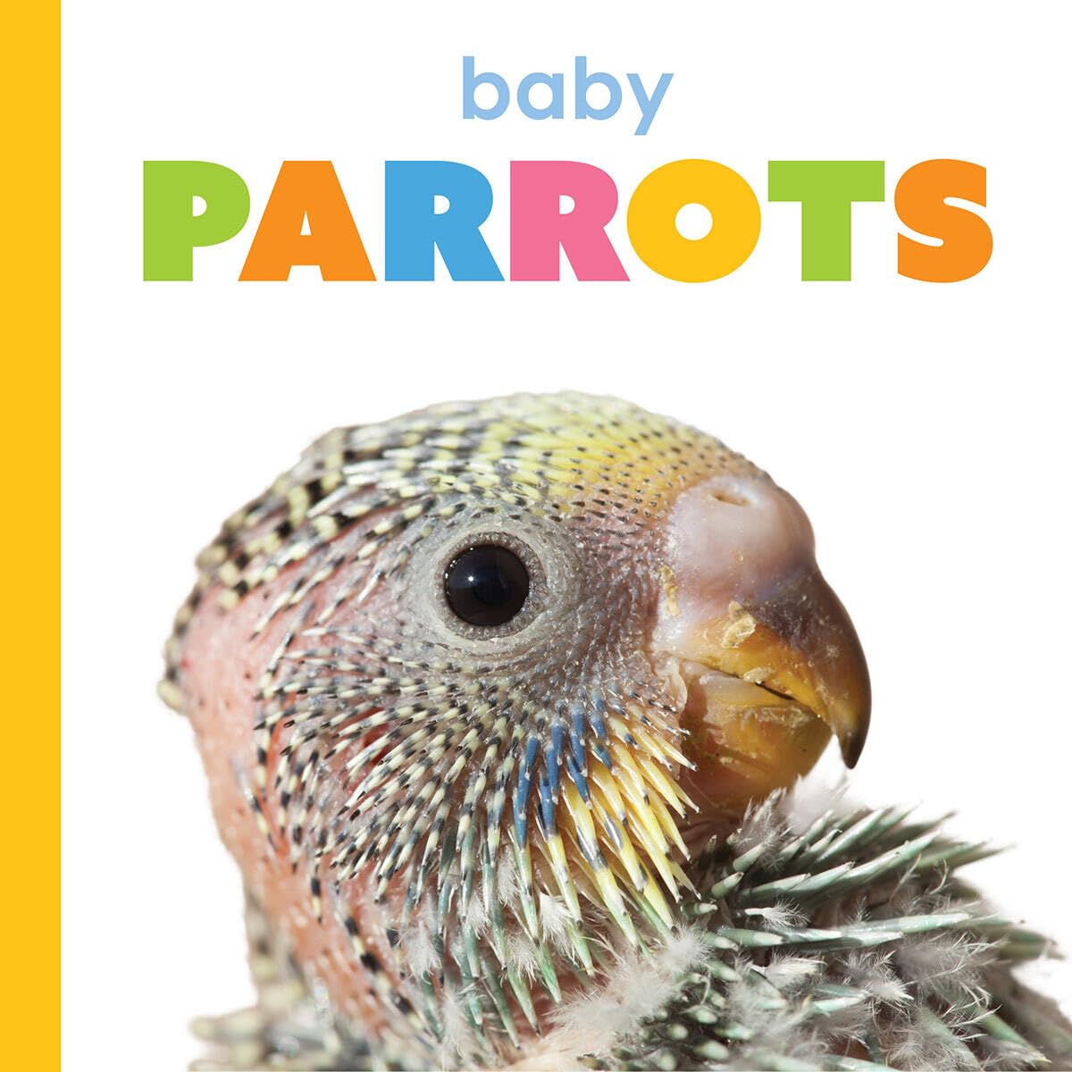 Baby Parrots (Starting Out)