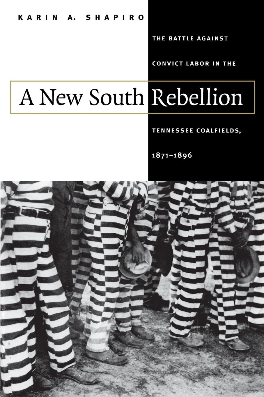 A New South Rebellion: The Battle Against Convict Labor In The Tennessee Coalfields, 18711896 (Fred W. Morrison Series In South,Used
