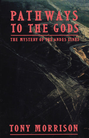 Pathways To The Gods: The Mystery of the Andes Lines,Used