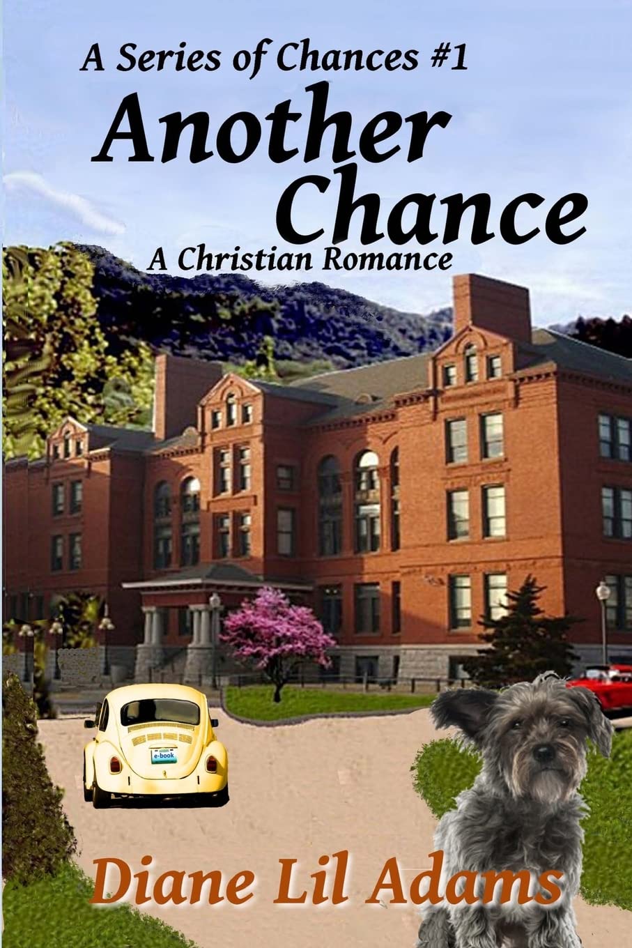 Another Chance: A Christian Romance (A Series Of Chances),Used