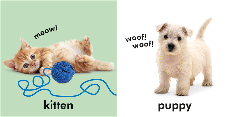 Baby Touch And Feel: Animals,Used
