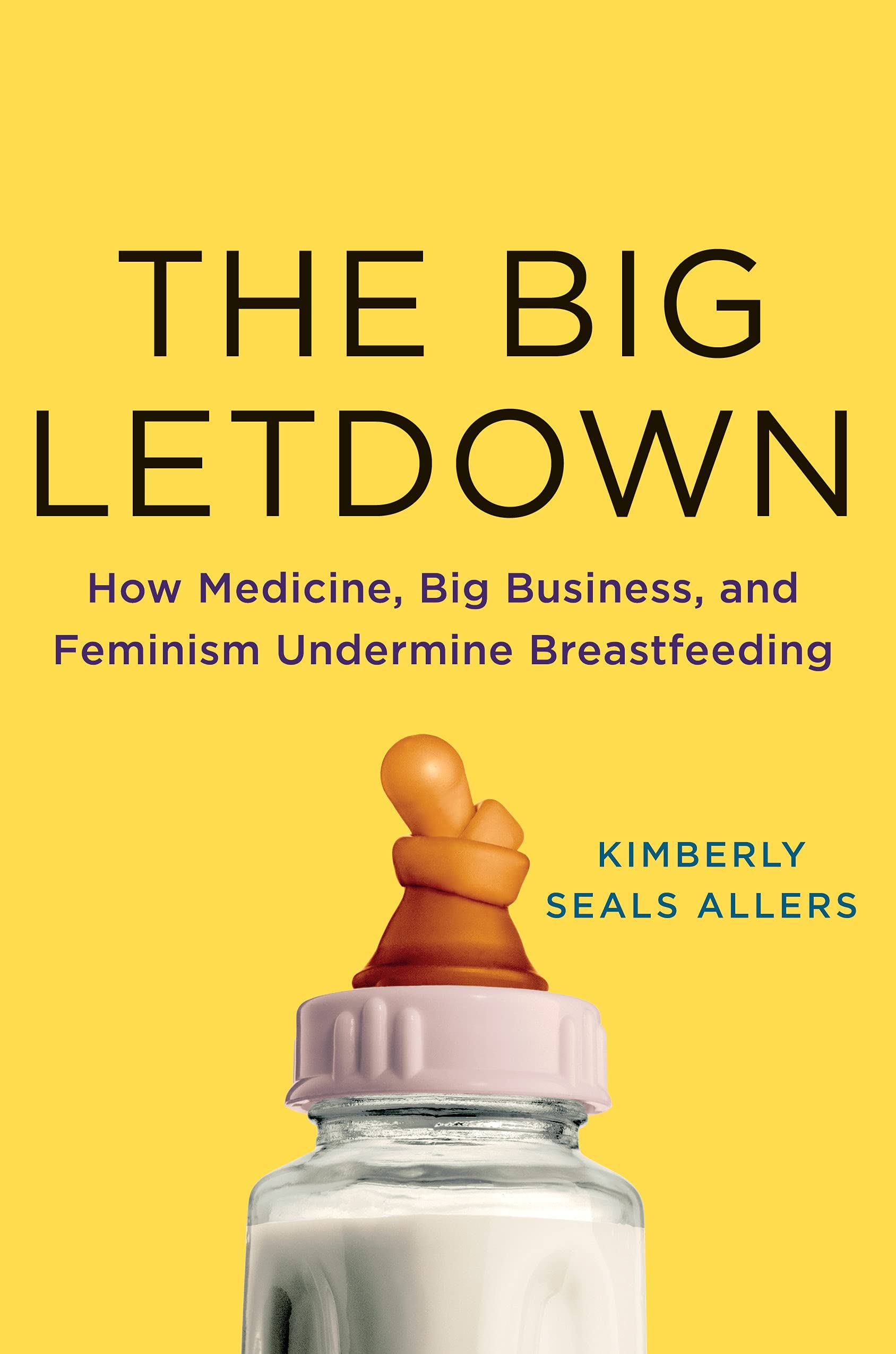The Big Letdown: How Medicine, Big Business, and Feminism Undermine Breastfeeding,Used