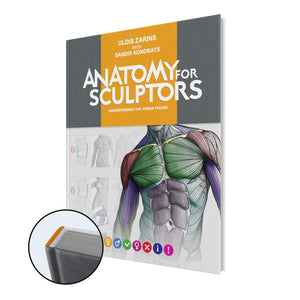 Anatomy For Sculptors, Understanding The Human Figure