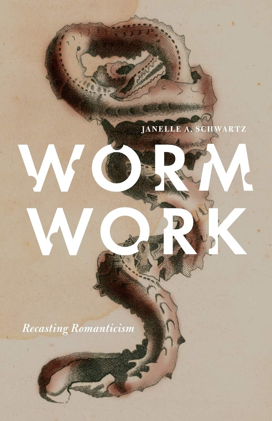 Worm Work: Recasting Romanticism,Used