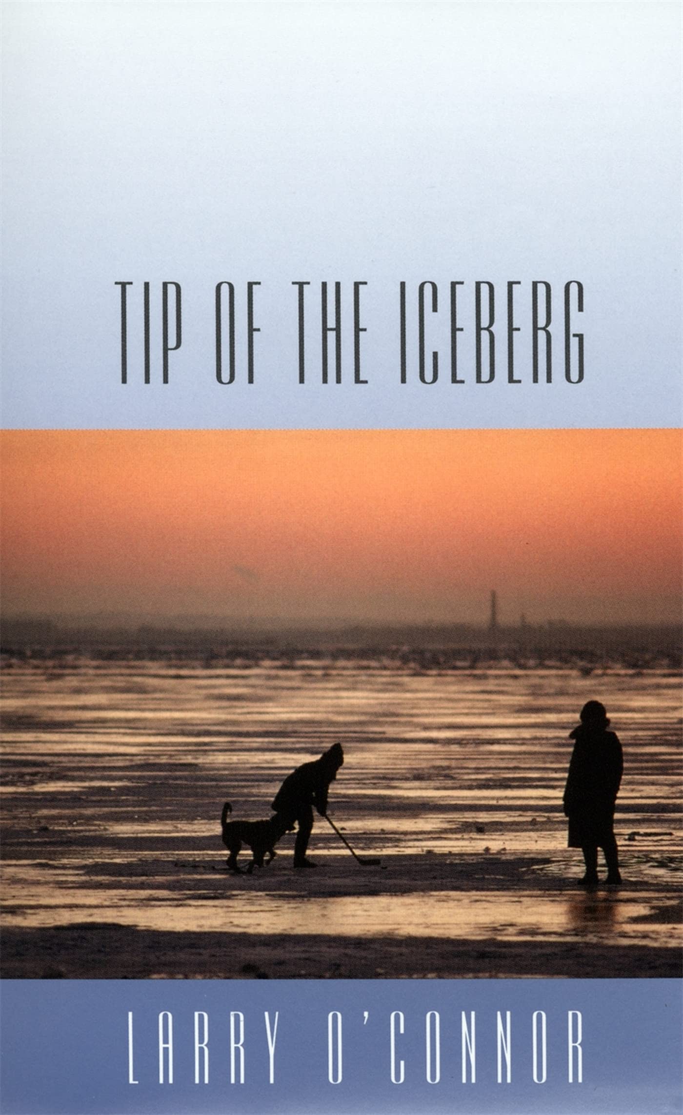 Tip Of The Iceberg,Used