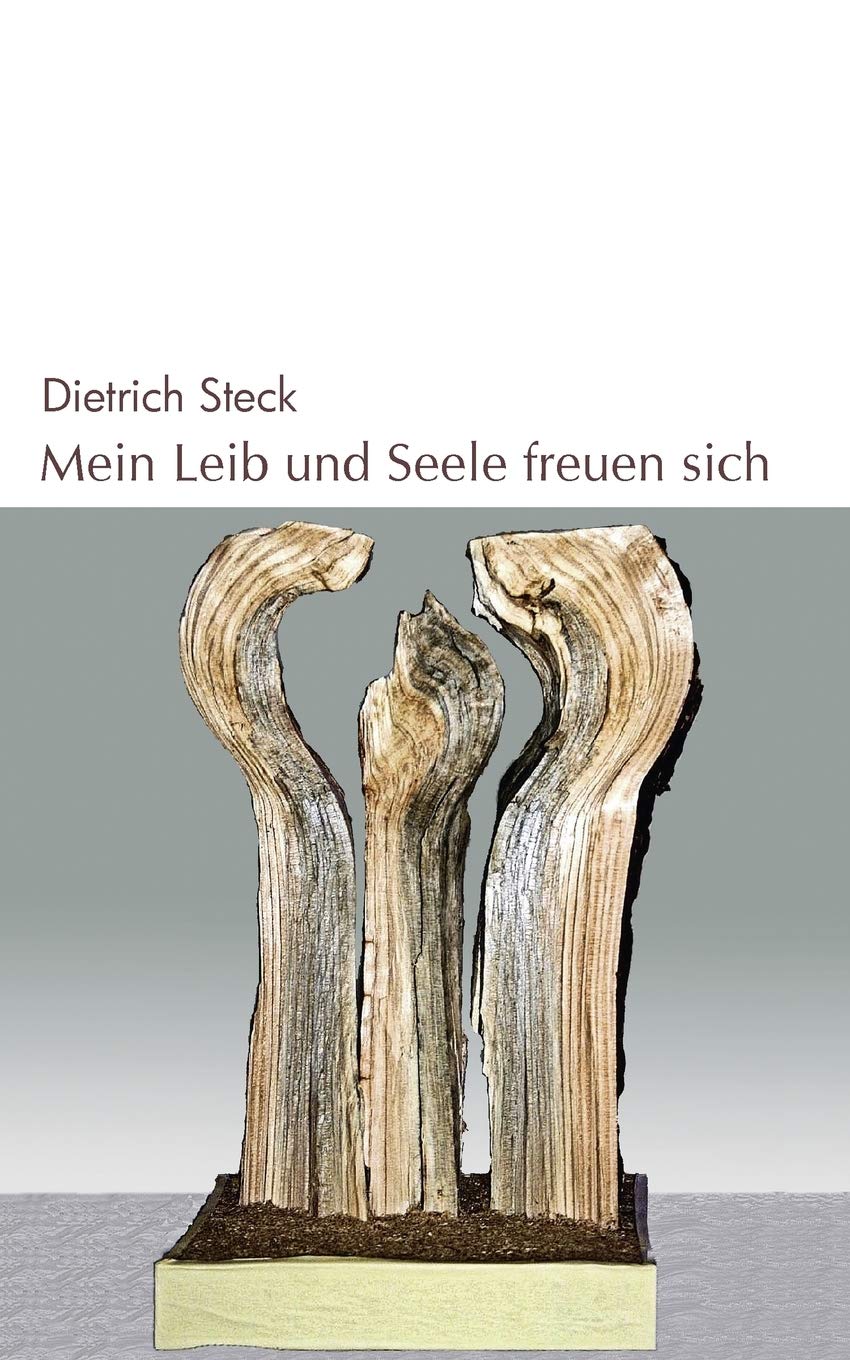 Mein Leib und Seele freuen sich: Gotteserfahrungen (German Edition),Used