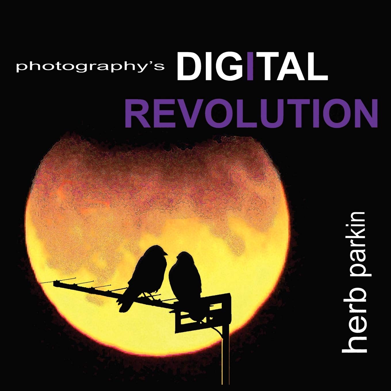 Photography's Digital Revolution: An Adventure Into Personal Vision and Creative Expression,Used