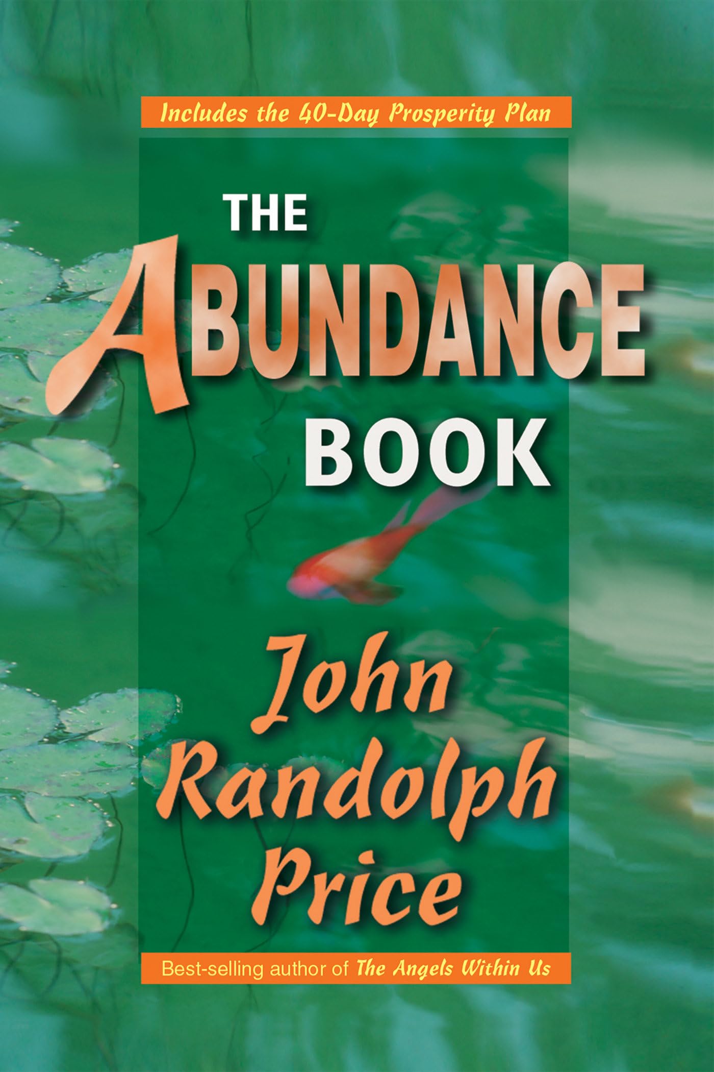 The Abundance Book,Used