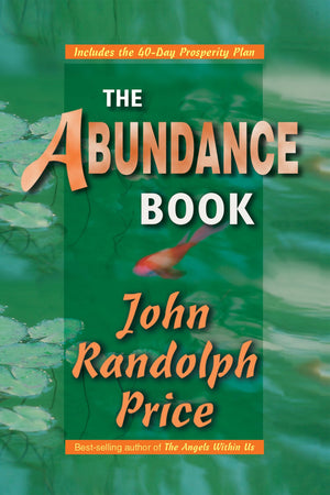 The Abundance Book,Used