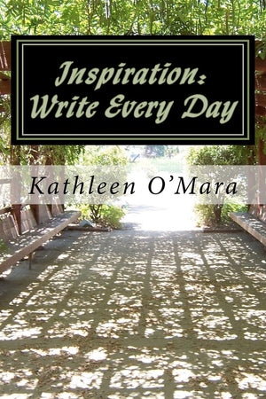 Inspiration: Write Every Day,Used