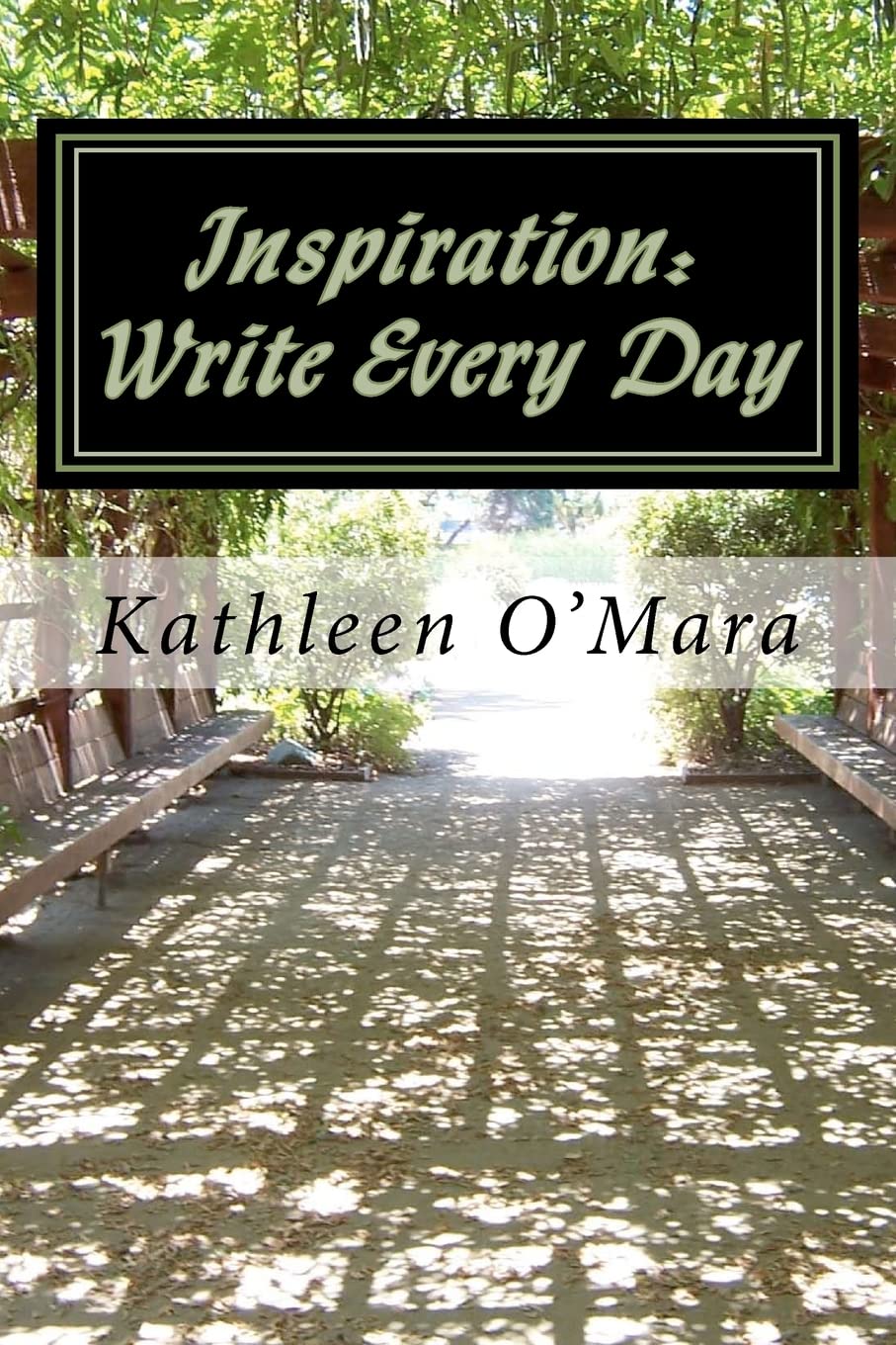 Inspiration: Write Every Day,Used