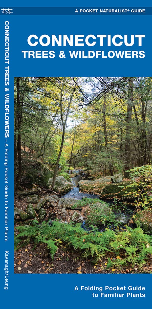 Connecticut Trees & Wildflowers: A Folding Pocket Guide to Familiar Plants (Wildlife and Nature Identification),Used