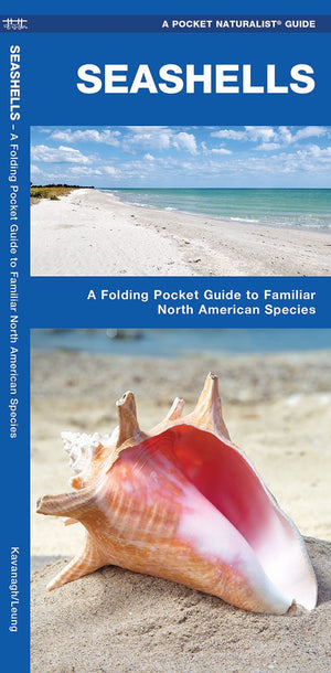 Seashells: A Folding Pocket Guide to Familiar North American Species (A Pocket Naturalist Guide),Used